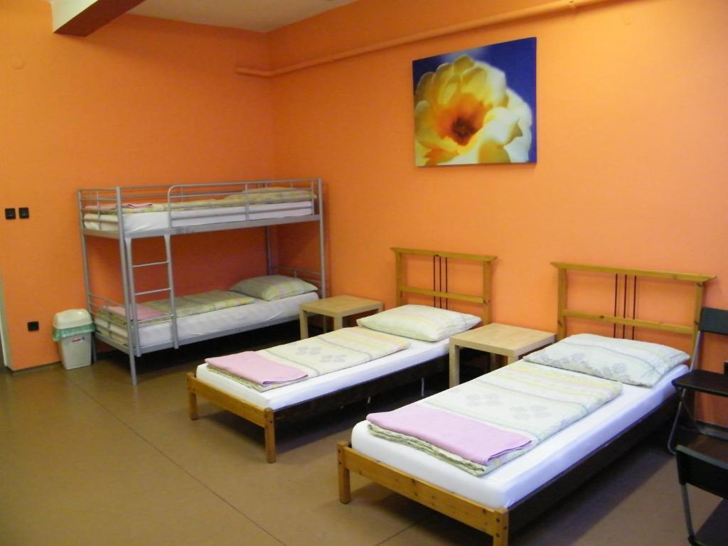 Zrinyi Hostal *